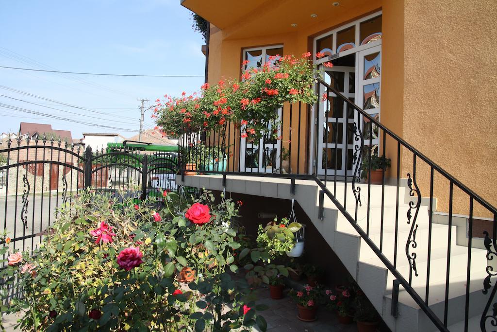 Pensiunea Amso Hermannstadt Exterior foto