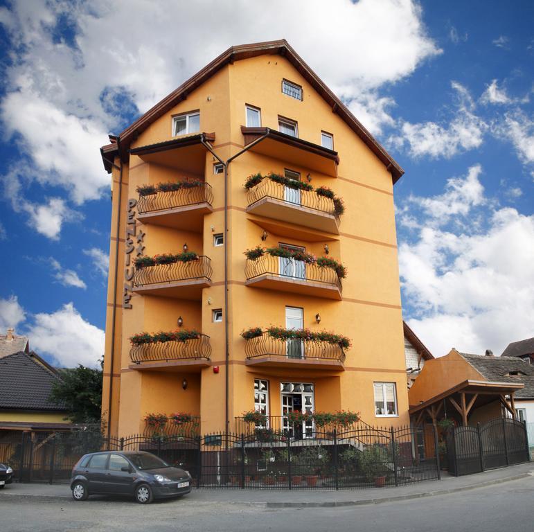 Pensiunea Amso Hermannstadt Exterior foto